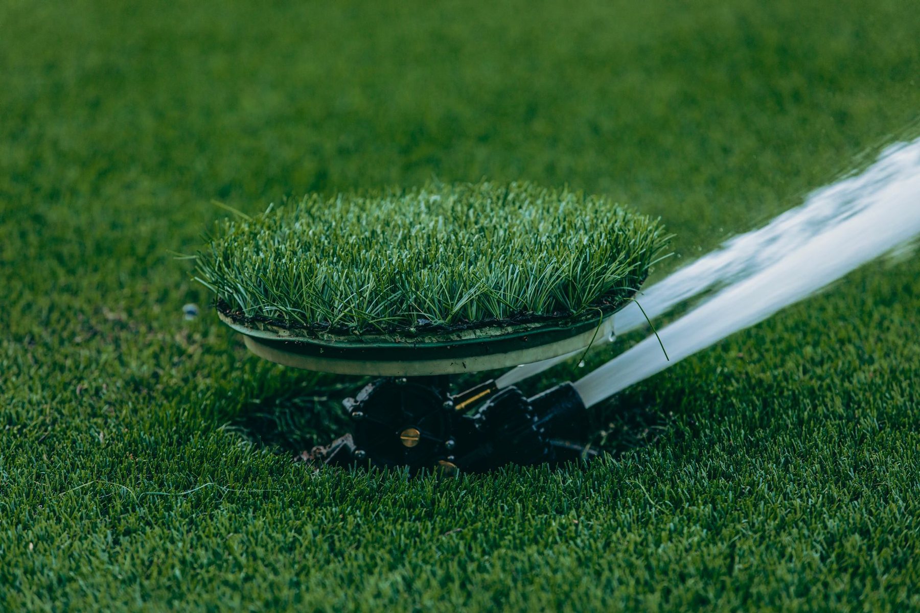 Artificial turf installation in Sun City West, AZ